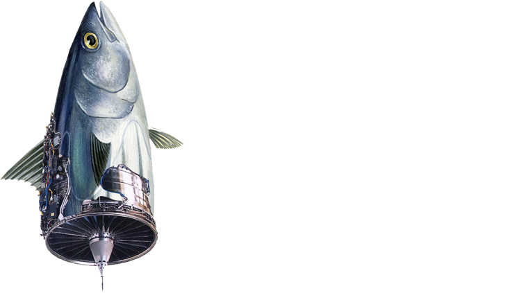 Turbotuna